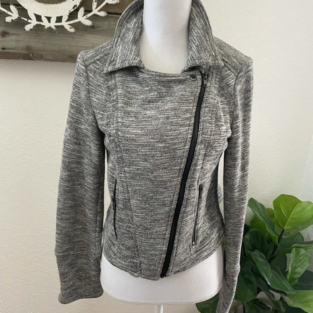 Stitch fix market & spruce gray knit Moto jacket M